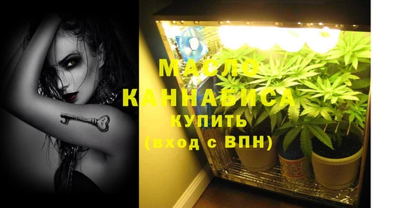 дживик Абинск