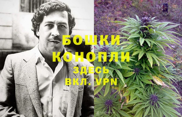 твердый Абаза