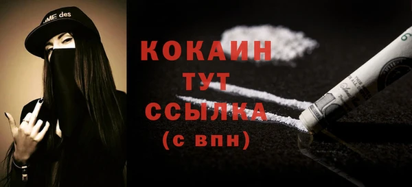 дживик Абинск