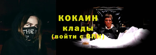 твердый Абаза